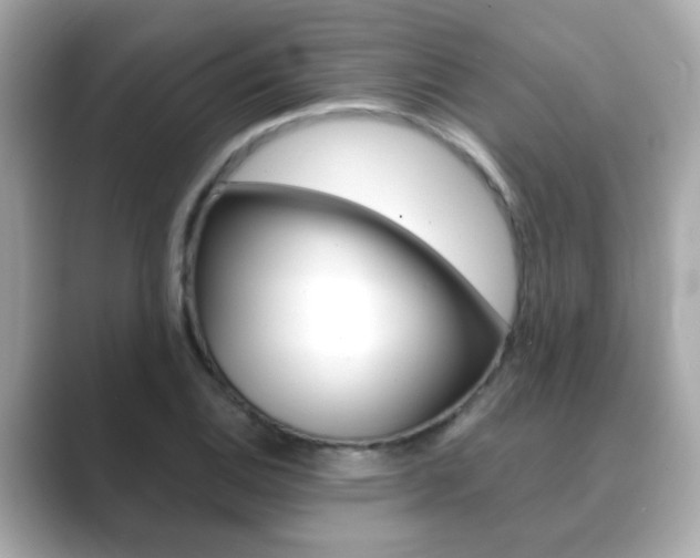 X0000089751124200706210918