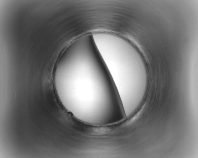 X0000089751129200706210918