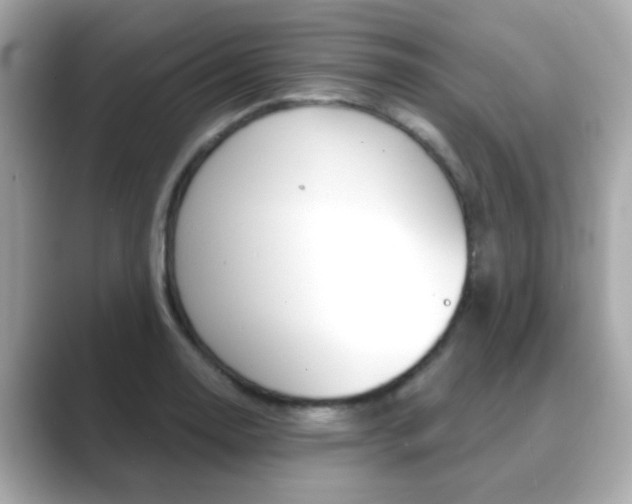 X0000089751130200706210918