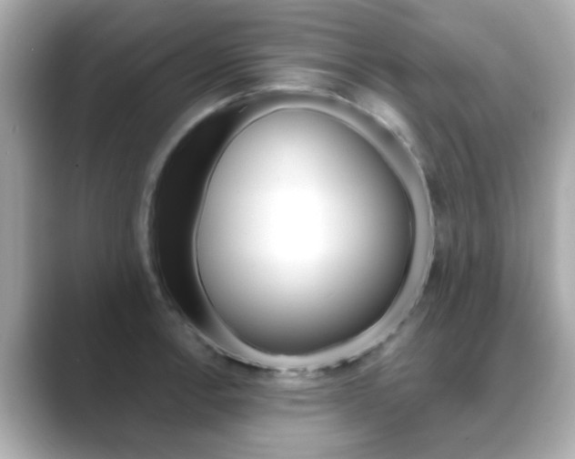 X0000089751138200706210919