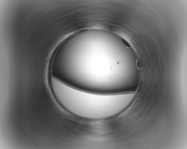 X0000089751139200706210919