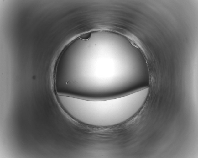 X0000089751143200706210919