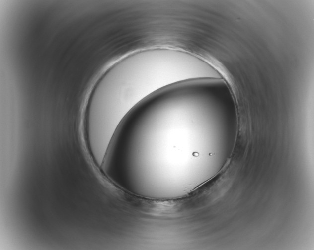 X0000089751144200706210919