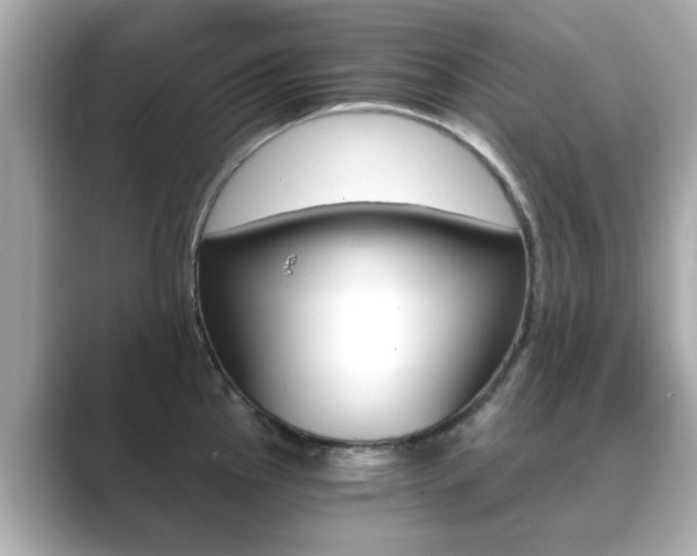 X0000089751145200706210919