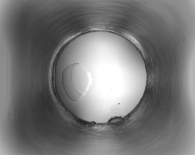 X0000089751146200706210919
