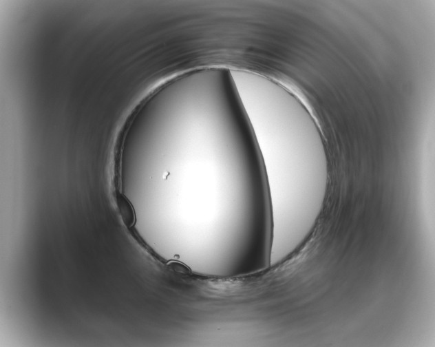 X0000089751147200706210919