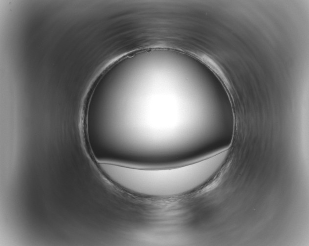 X0000089751149200706210919