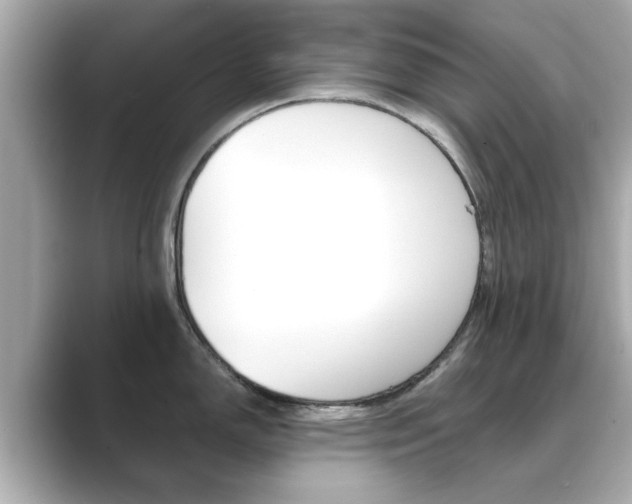 X0000089751150200706210919