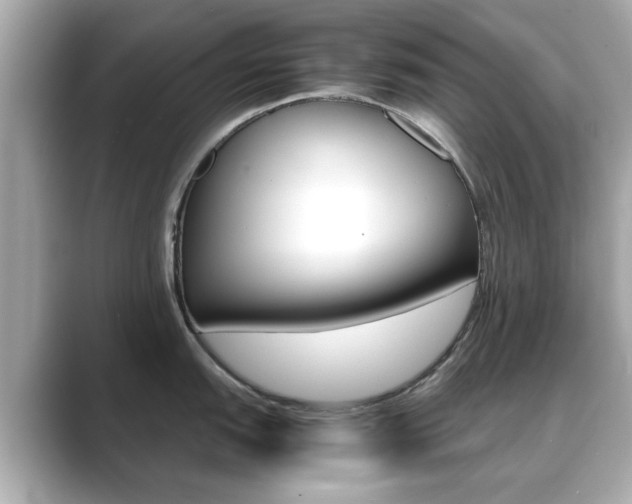 X0000089751151200706210919