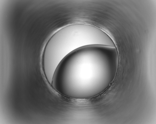 X0000089751152200706210919