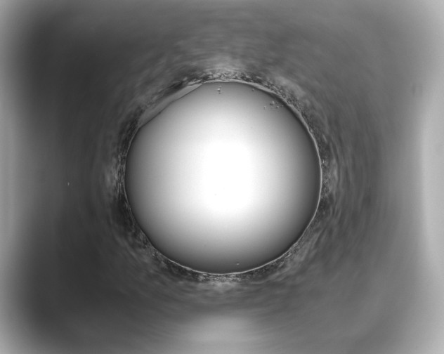 X0000089751157200706210918