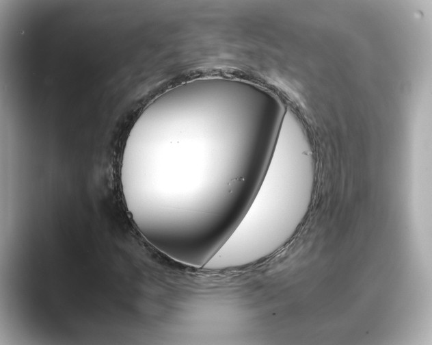 X0000089751159200706210918