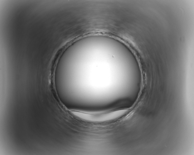 X0000089751165200706210918