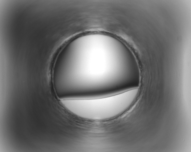 X0000089751167200706210918