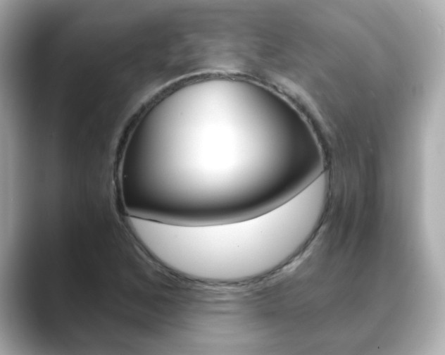 X0000089751168200706210918
