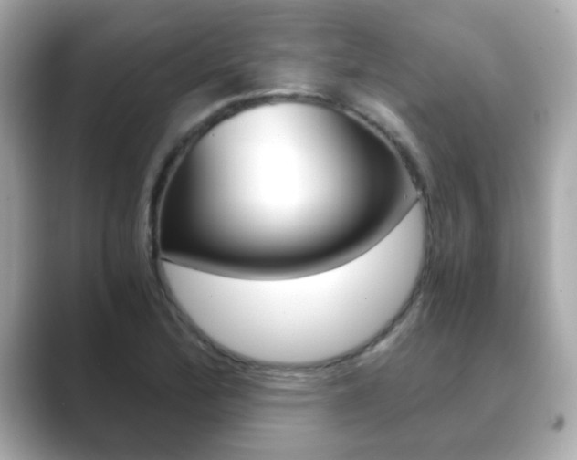X0000089751172200706210918