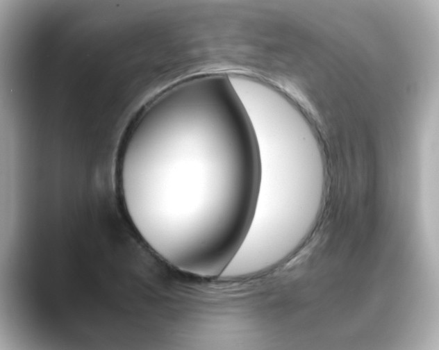 X0000089751173200706210918