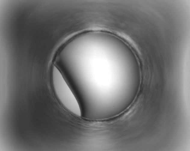 X0000089751175200706210918