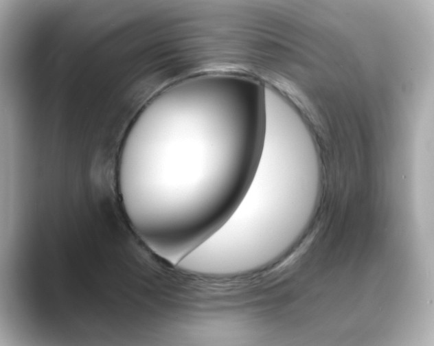 X0000089751177200706210918