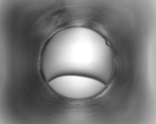 X0000089751178200706210918