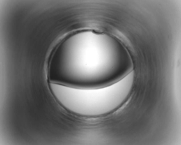 X0000089751180200706210918