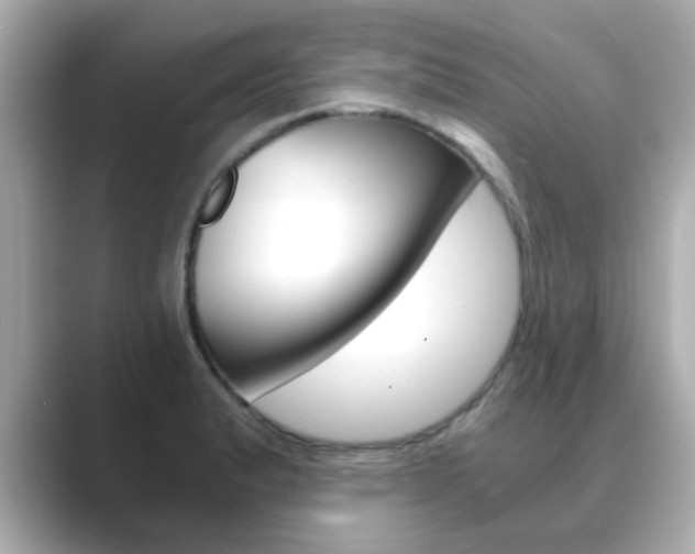 X0000089751183200706210918
