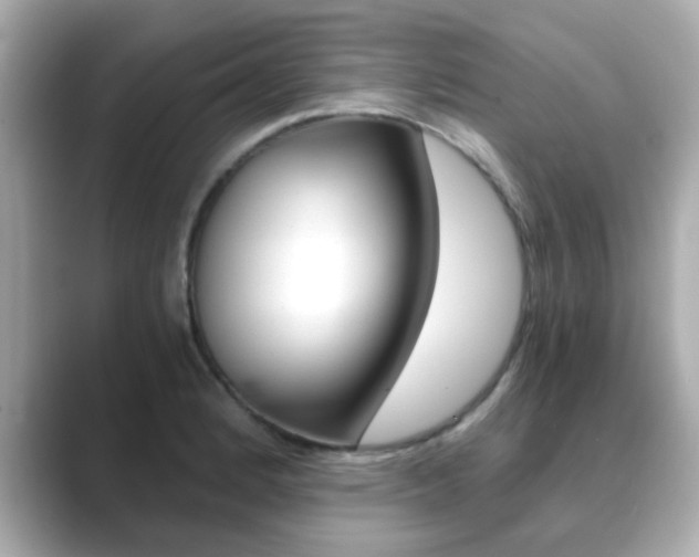 X0000089751184200706210918