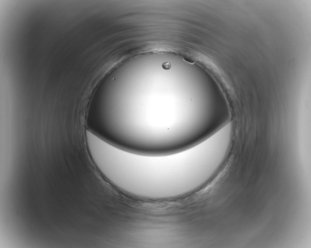 X0000089751185200706210918