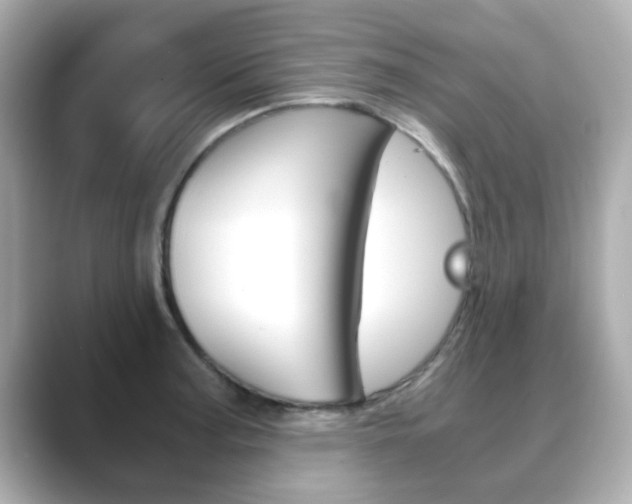 X0000089751187200706210918