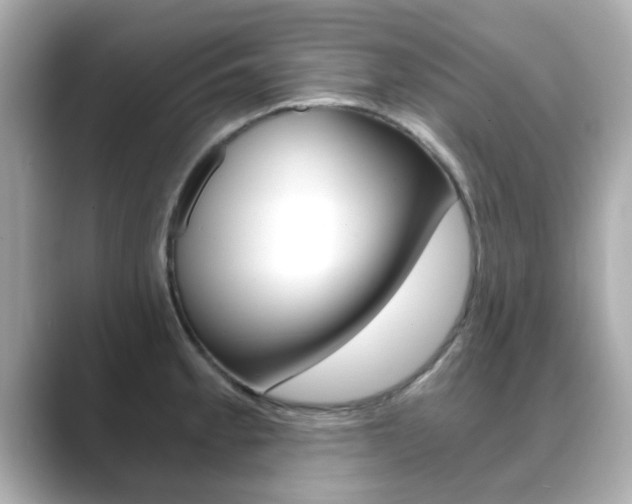 X0000089751189200706210918