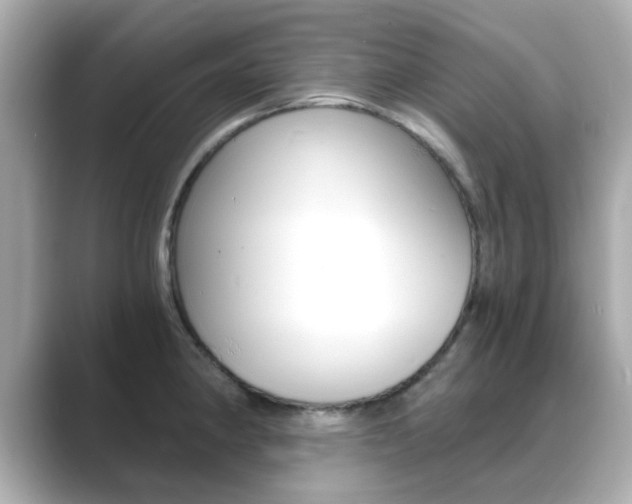 X0000089751190200706210918