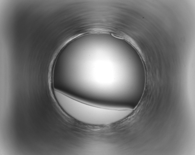 X0000089751195200706210918