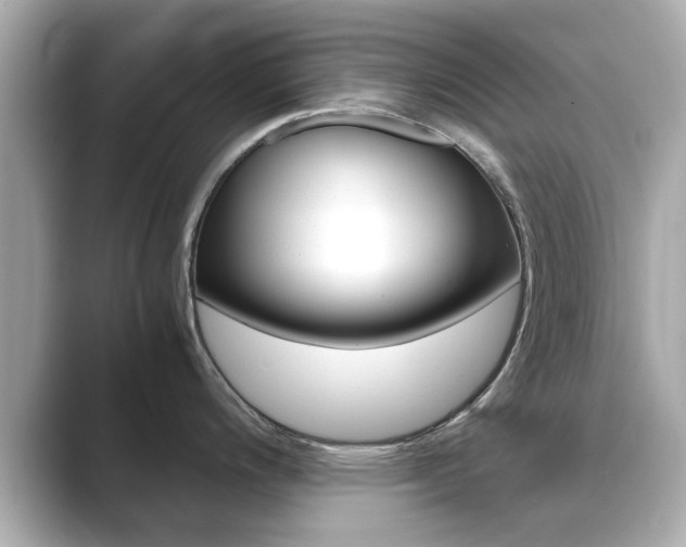 X0000089751200200706210917