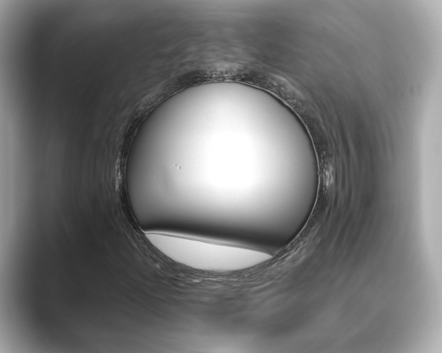 X0000089751204200706210917