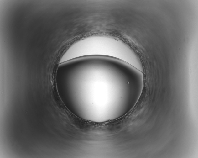 X0000089751206200706210917
