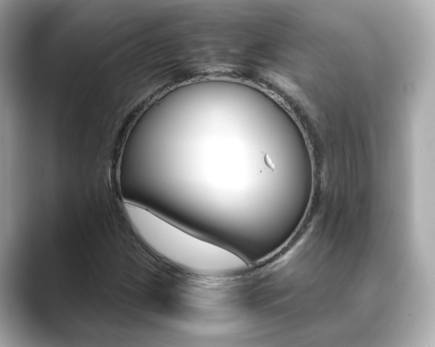 X0000089751209200706210917