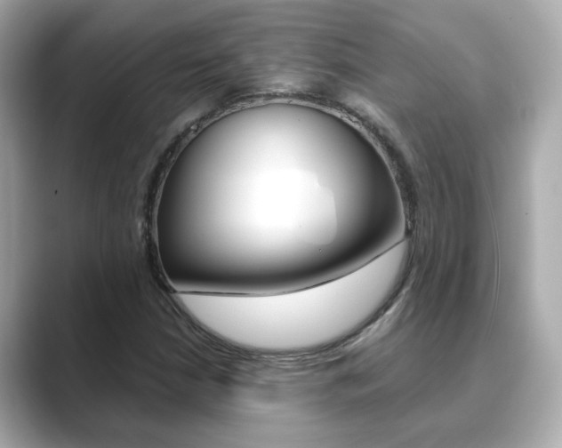 X0000089751210200706210917