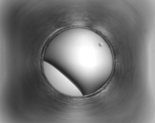 X0000089751212200706210917
