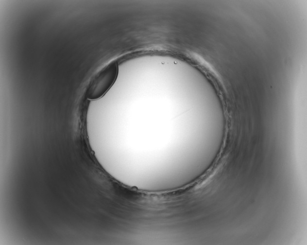 X0000089751215200706210917