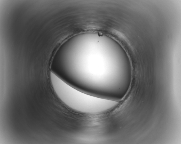 X0000089751217200706210917