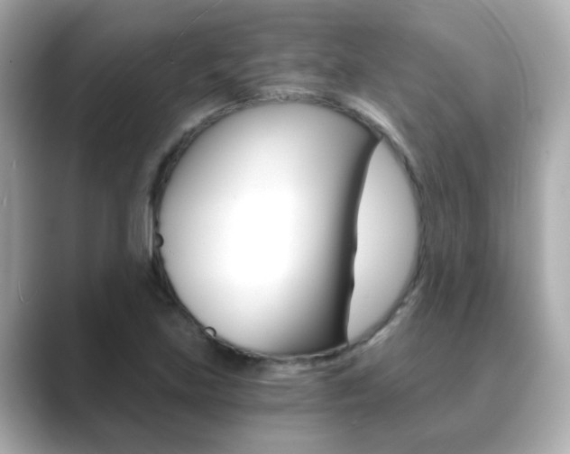 X0000089751219200706210917