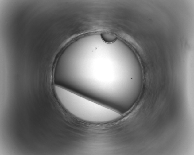 X0000089751220200706210917
