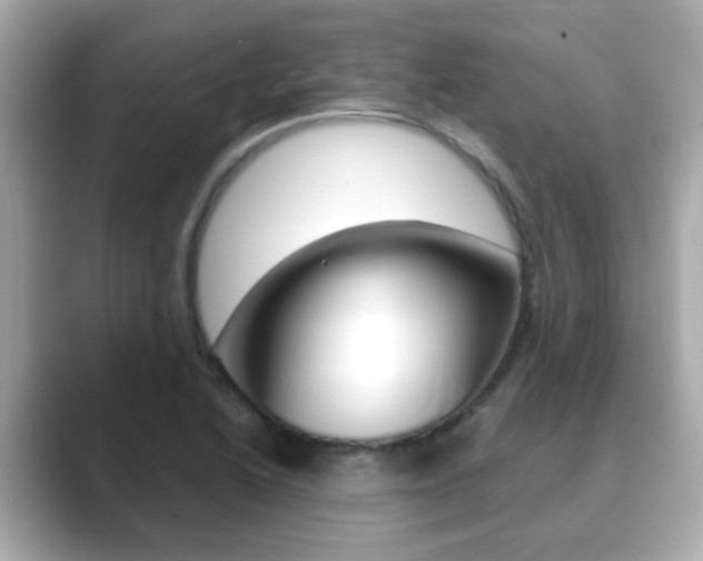 X0000089751222200706210917