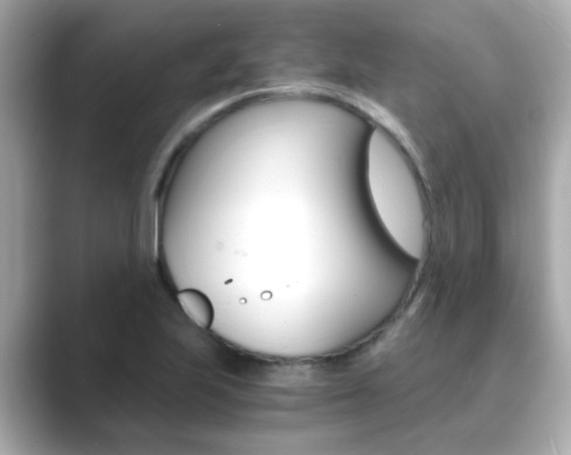 X0000089751223200706210917