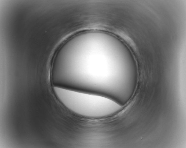 X0000089751224200706210917