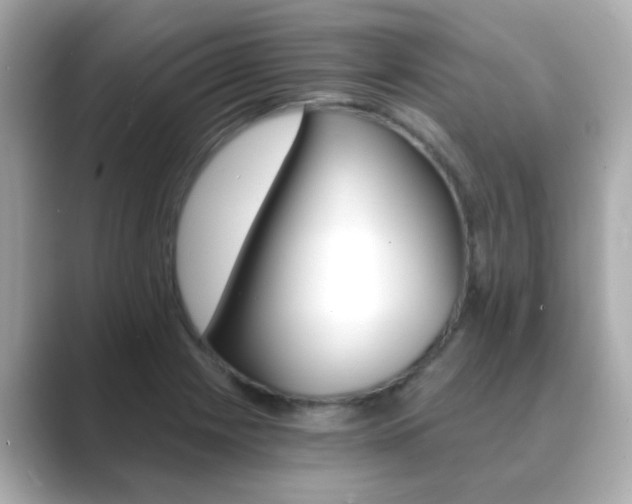 X0000089751225200706210917