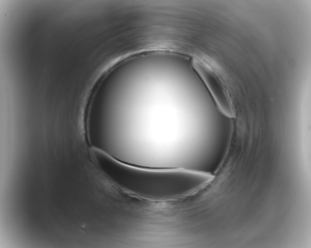 X0000089751230200706210917