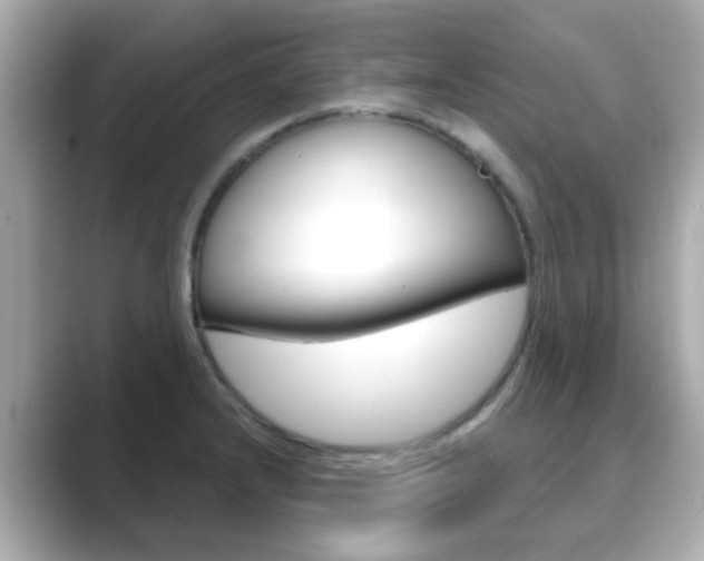 X0000089751232200706210917