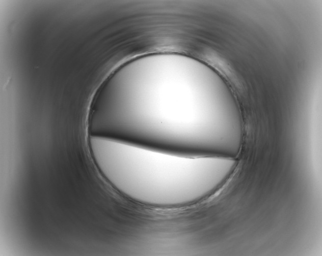 X0000089751236200706210917