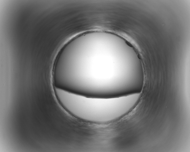 X0000089751239200706210917